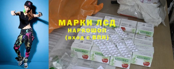 шишки Белокуриха