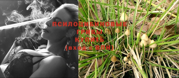 тгк Беломорск