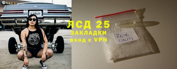 шишки Белокуриха