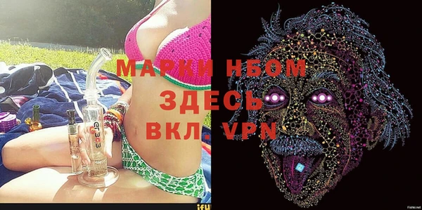 шишки Белокуриха