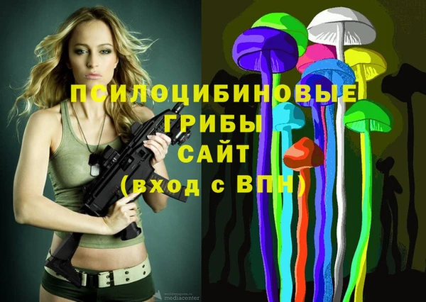 мдпв Тында