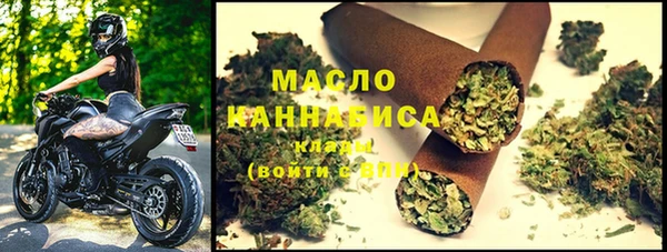 шишки Белокуриха