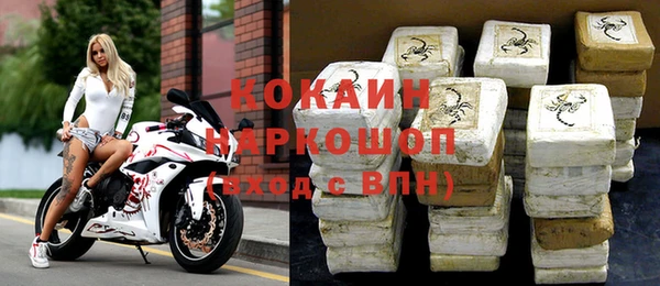 шишки Белокуриха