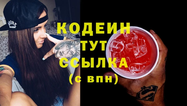 шишки Белокуриха
