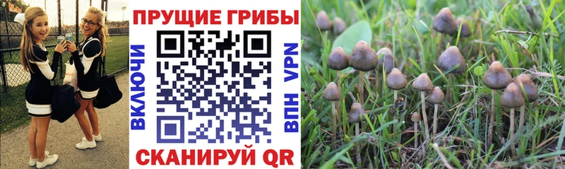 Галлюциногенные грибы MAGIC MUSHROOMS  Лабинск 
