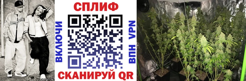 Шишки марихуана LSD WEED сколько стоит Лабинск